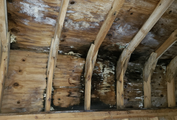 Water Damage To Your Roof