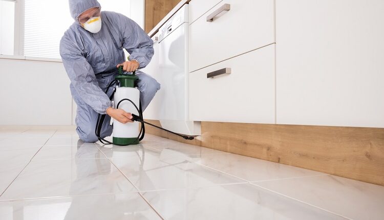 Pest Control