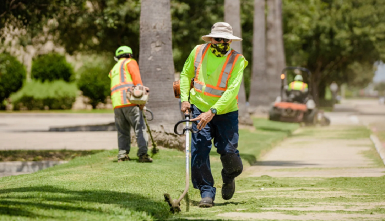 Landscape Maintenance Services