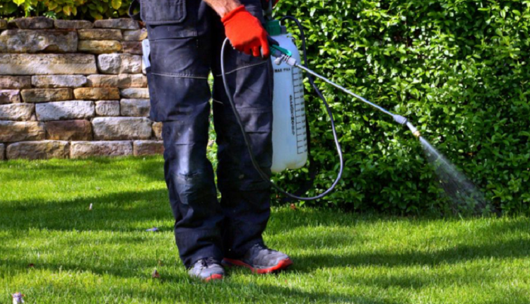 Pest Control