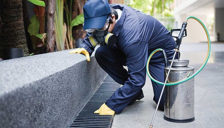 Pest Control