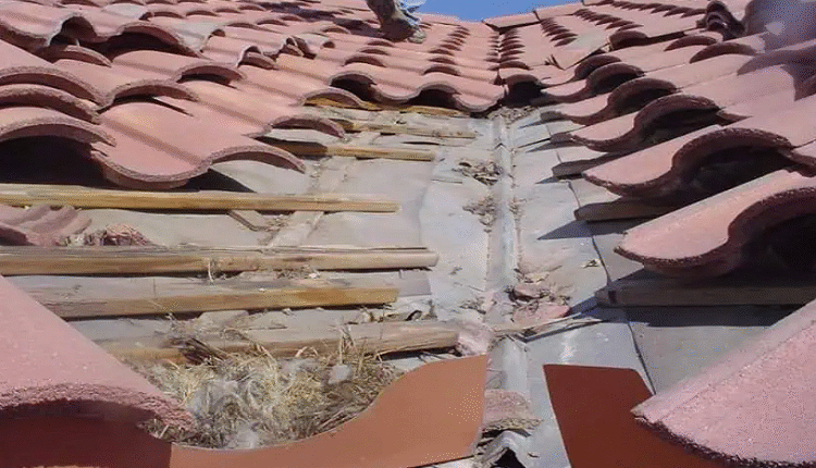 Tile Roof